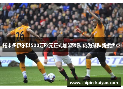 托米多伊尔以500万欧元正式加盟狼队 成为球队新援焦点